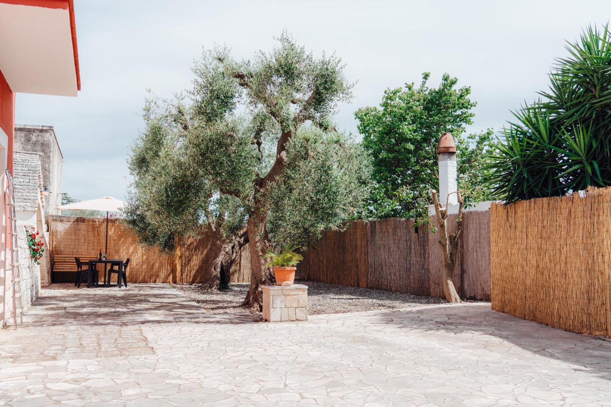 Loli Trulli Superior Villa - Free Parking Castellana Grotte Zewnętrze zdjęcie